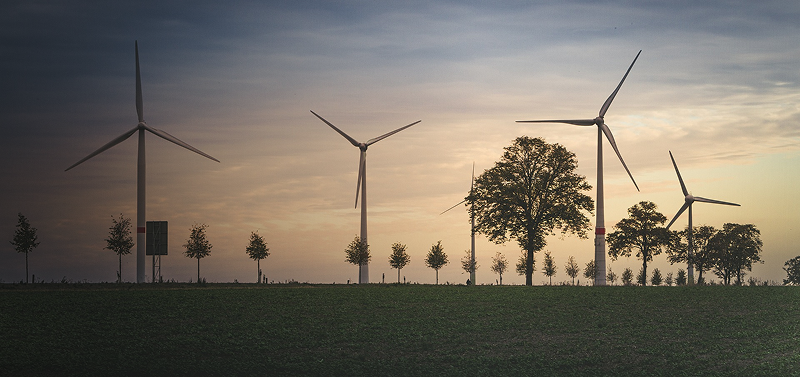 Identifying and Strengthening Opportunities for Constituencies’ Engagement