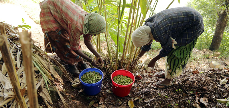 Enhance the Enabling Environment