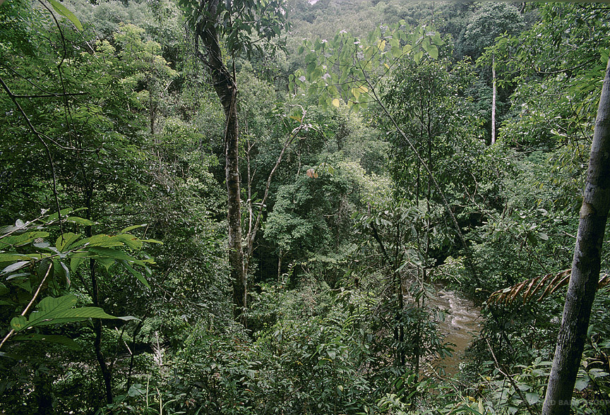 The village of Soavina in Madagascar. Photo: World Bank / Sarah Farhat