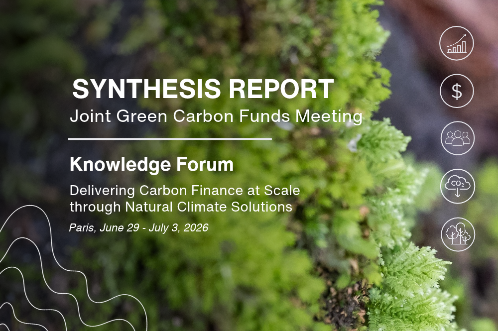Scaling Forest Carbon Finance: Key Takeaways from the Paris Knowledge Forum 