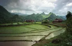 Rice-fields in a valley near Lao Cai, northern Viet Nam. Photo: © Tran Thi Hoa / World Bank