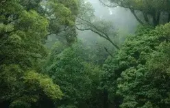 Côte d'Ivoire image