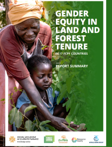 gender equity summary 