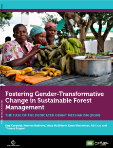 Gender-Transformative Change in Sustainable Forest Management Study  