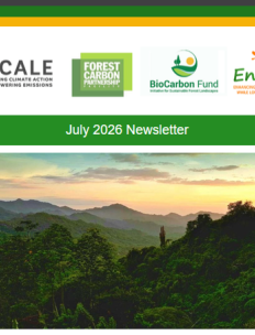 July newsletter 2026