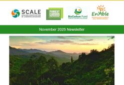 November News letter