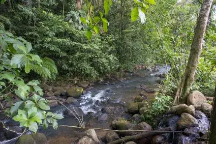 Landscape-Scale Climate Action Plans