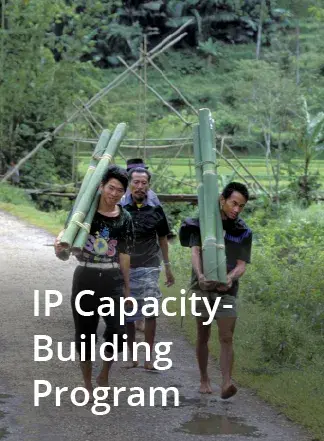 Forest Carbon Partnership Facility 2008 Annual Report