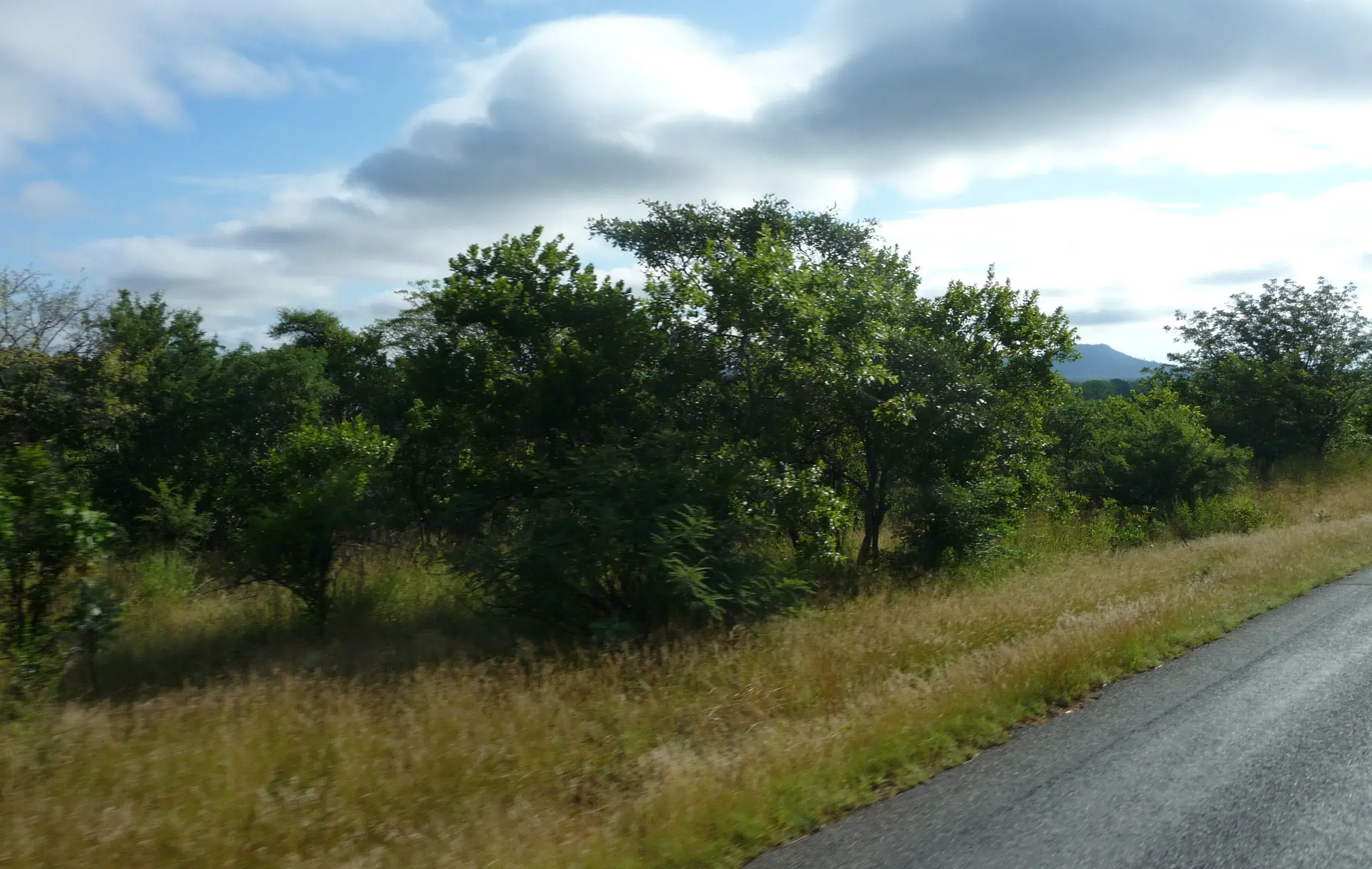 Cutting Emissions & Reducing Deforestation with Landmark Deals