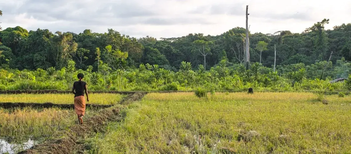 Empowering women to lead climate action will get us to a greener, more prosperous future sooner