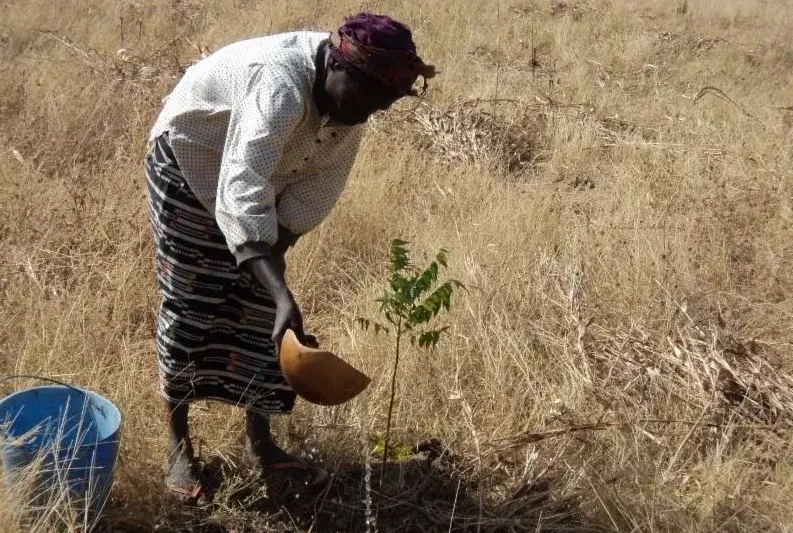 Quarterly Newsletter January 2017