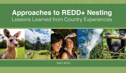 Approaches to REDD+ Nesting: Lessons Learned from Country Experiences