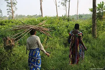 DRC's Forest-Smart Development