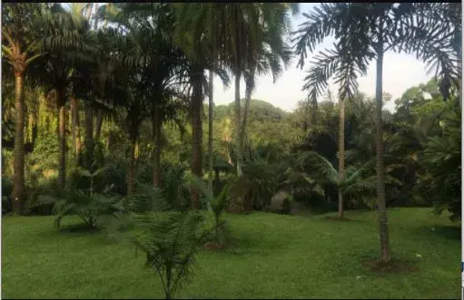 Carbon Fund Twenty second Meeting (CF22)