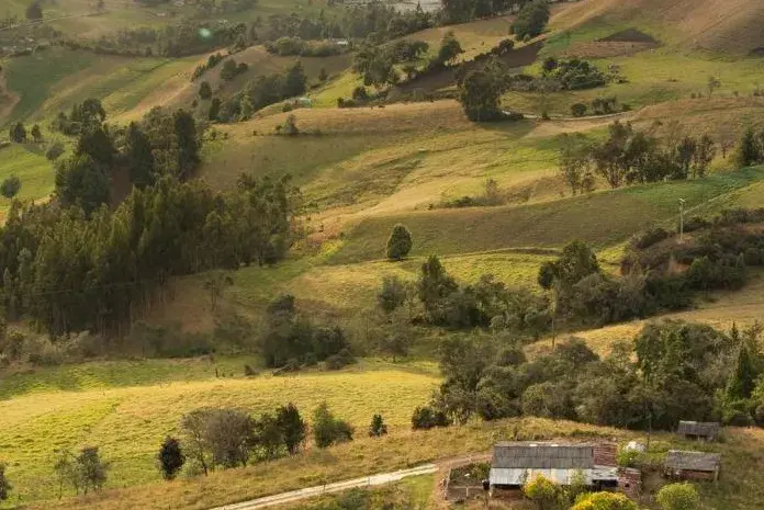 Insights & Experiences from the BioCF Emission Reductions Projects in the Land-Use Sector