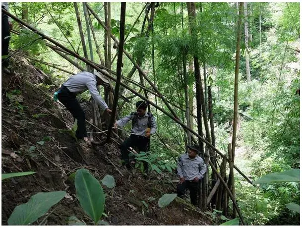 Open-source technical solutions for catalyzing climate action