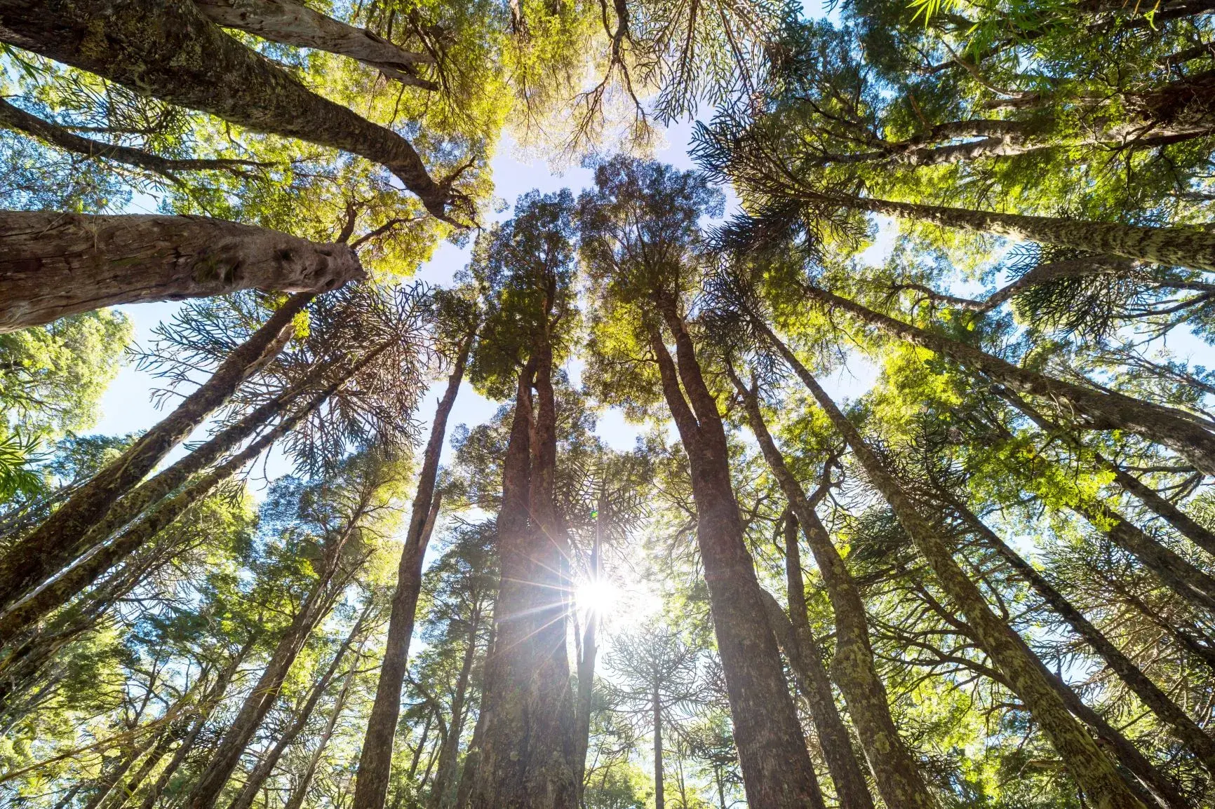 Landmark Agreement Signed with Chile