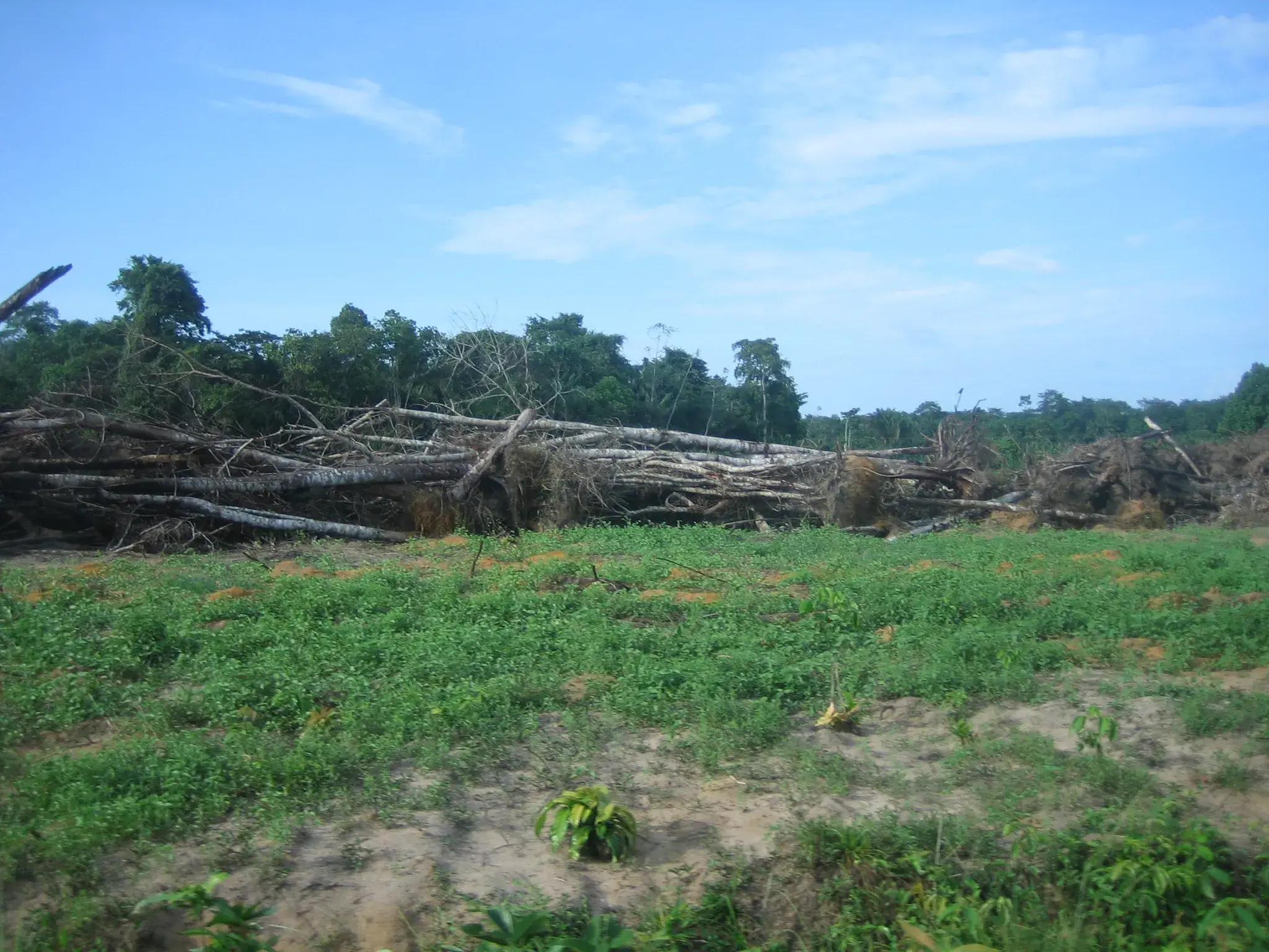 Payments for Environmental Services and Conservation Incentive Programs