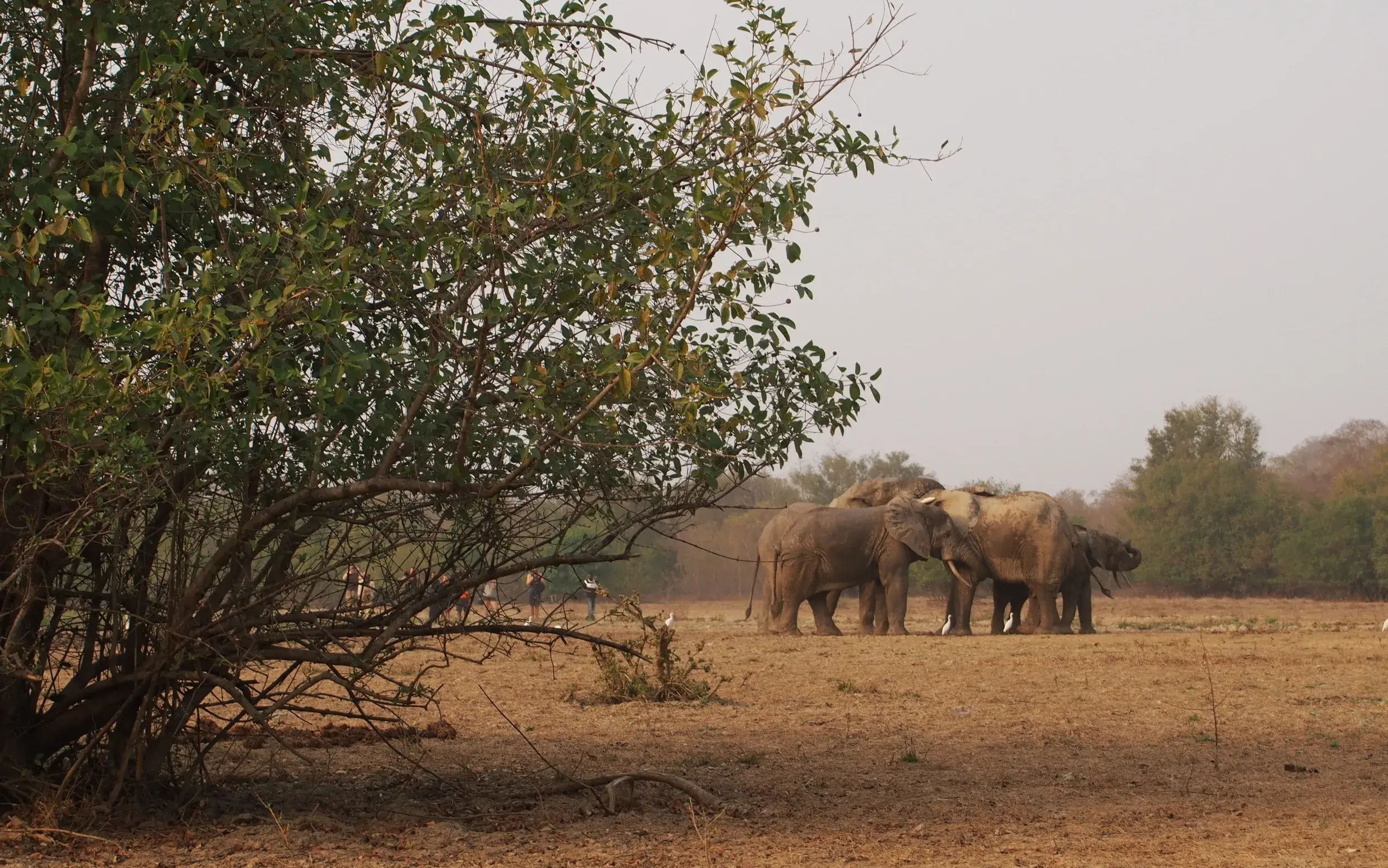 Performance-based Payments in Ghana