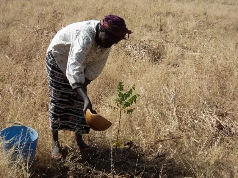 Reducing Emissions from Deforestation