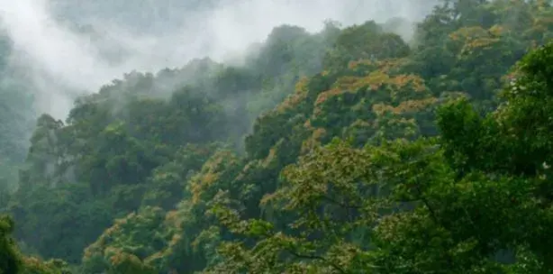 Carbon Fund Twenty third Meeting (CF23)