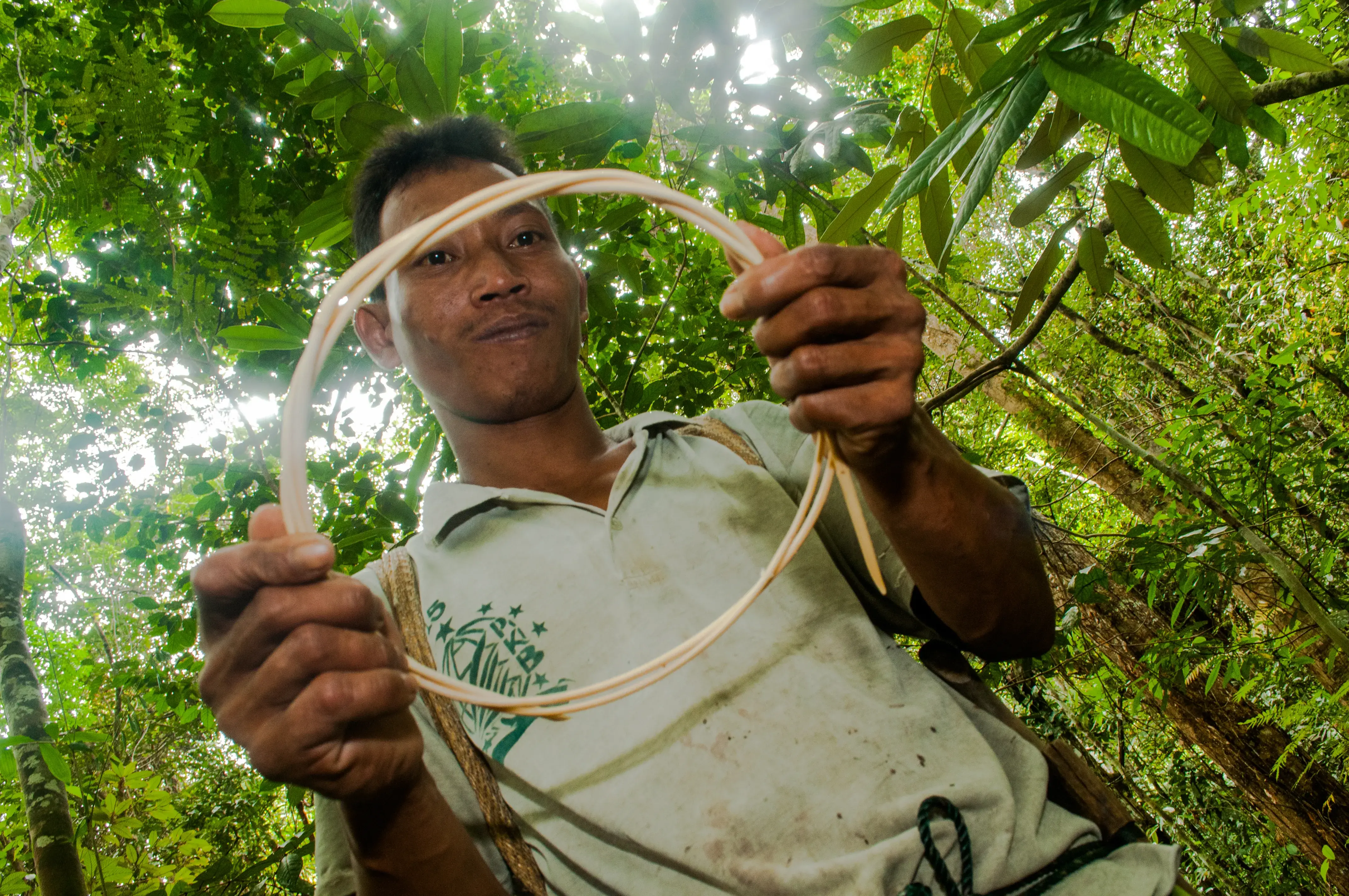 FCPF Communiqué on Indigenous Peoples