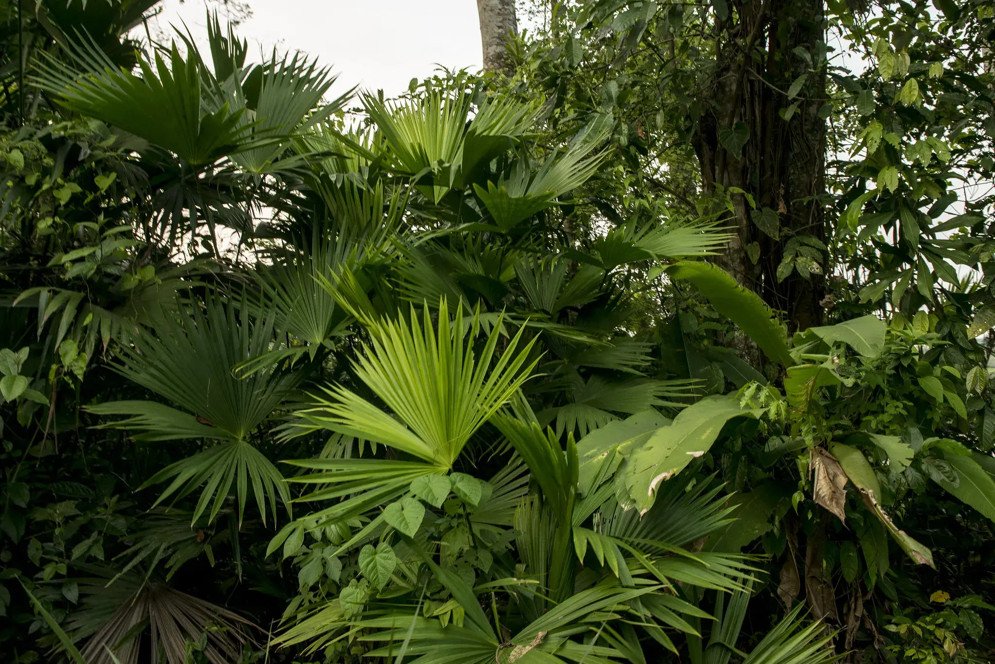 Quarterly Newsletter July 2019