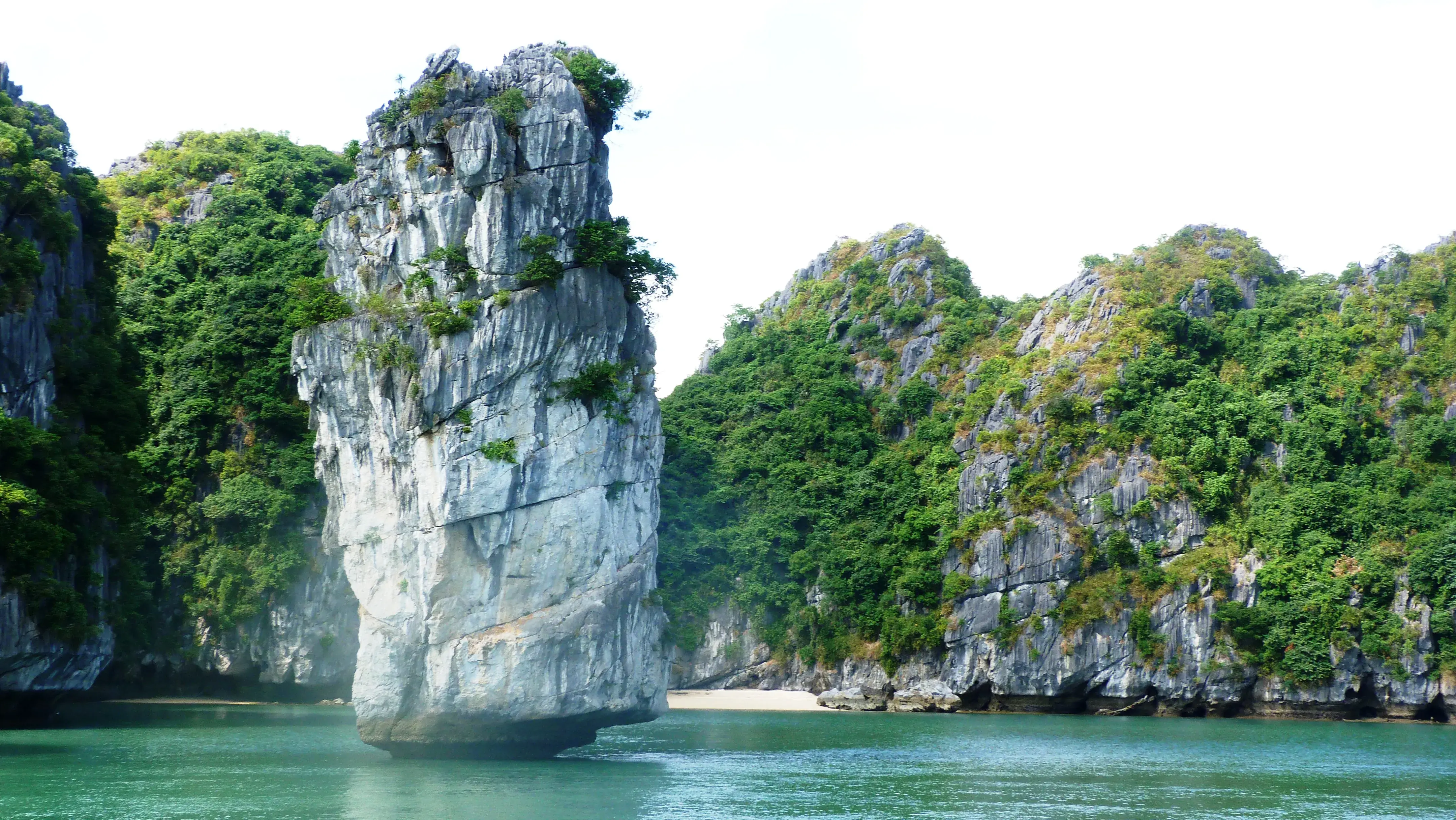 Quarterly Newsletter August 2014