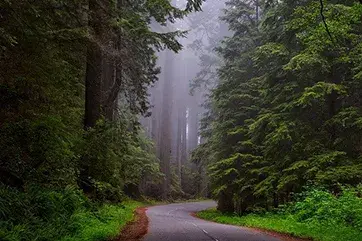 Global Dialogue of Indigenous Peoples, Local Communities and Southern CSOs