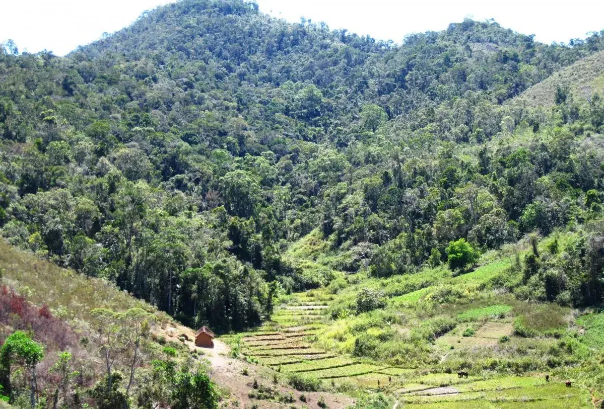 Quarterly Newsletter November 2016