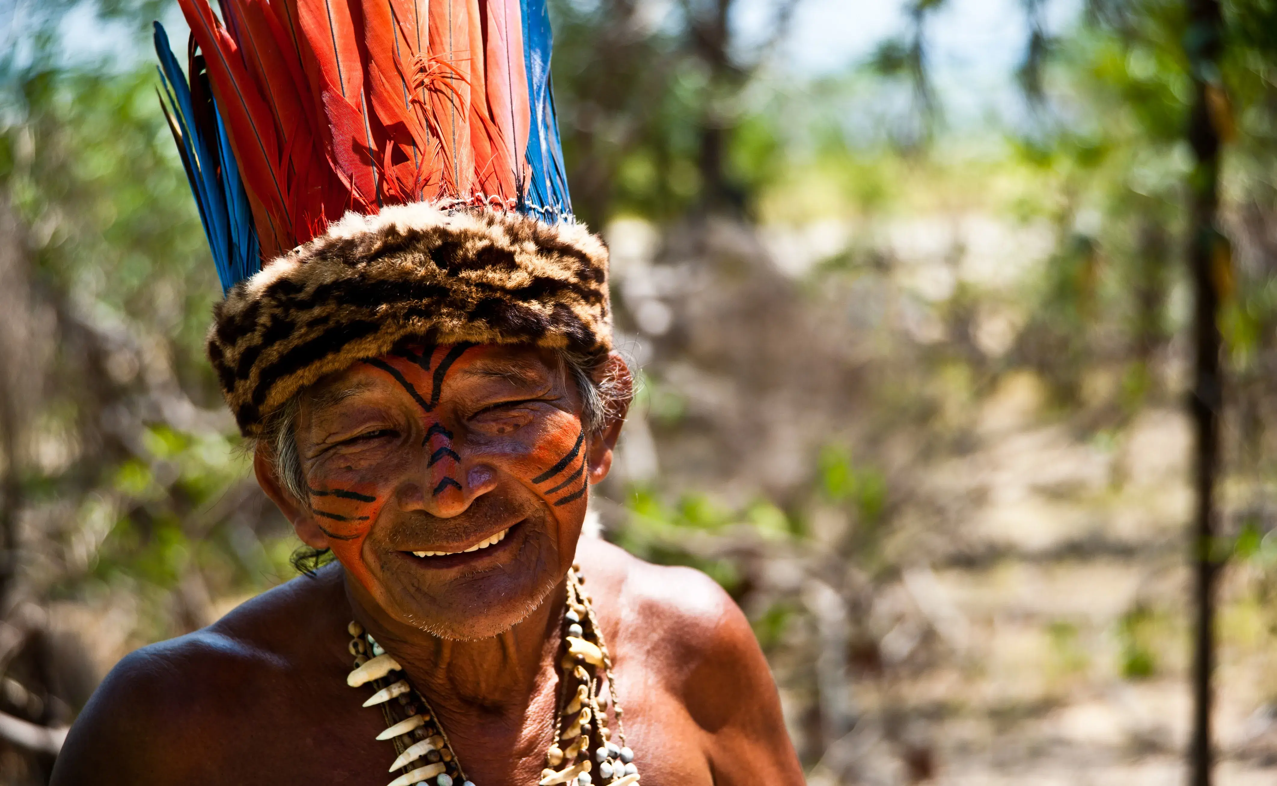 Forest Carbon Assessment in the Amazon Areas