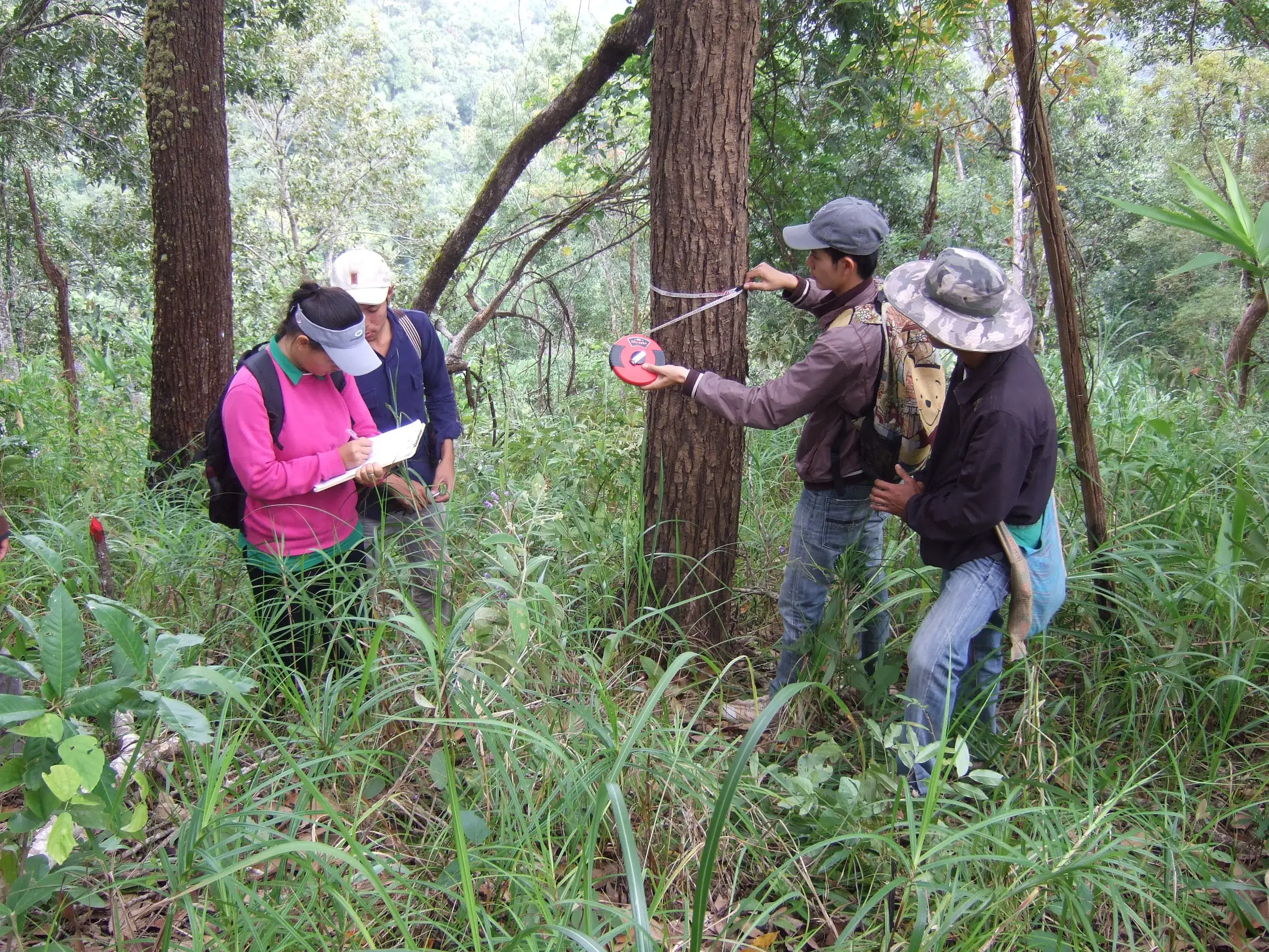 Forest Governance & REDD+ in Lao PDR