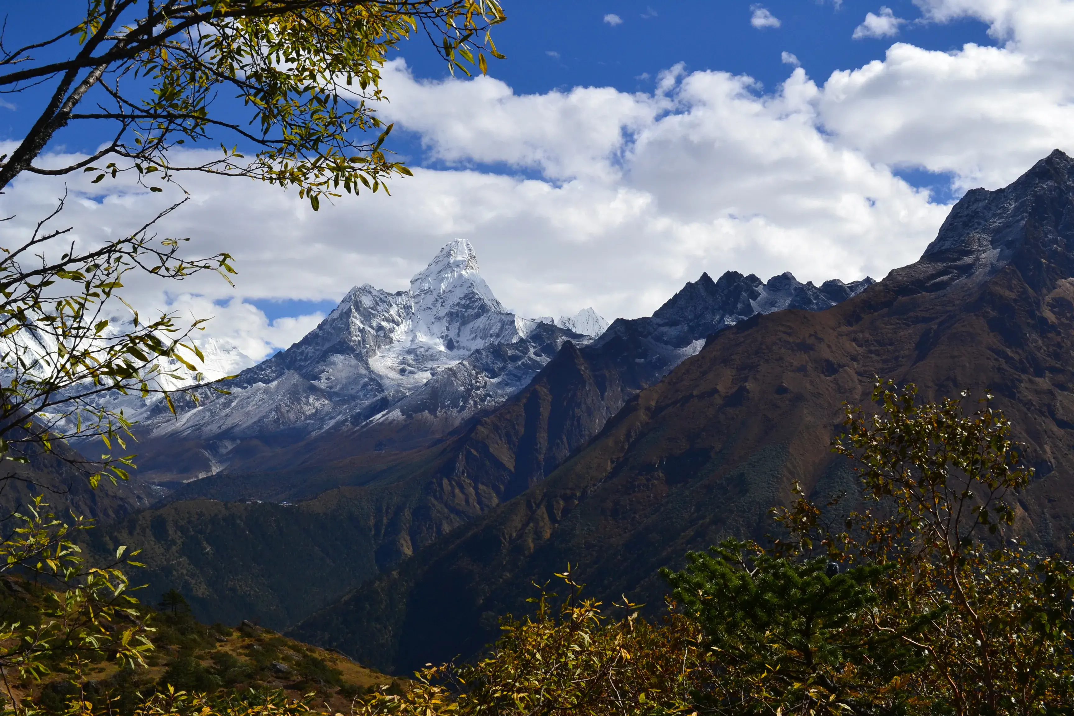 Nepal and World Bank sign innovative financing agreement on forests and climate change for building back greener