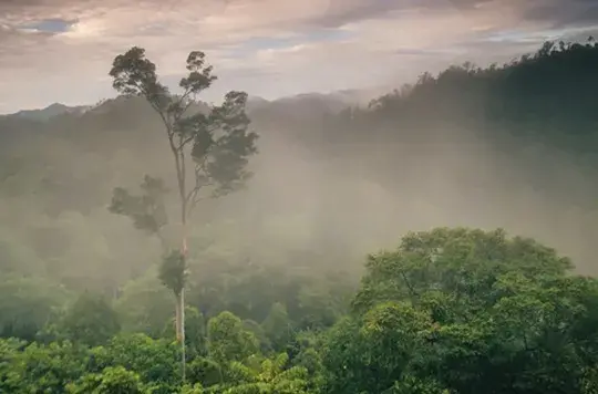 Quarterly Newsletter February 2015