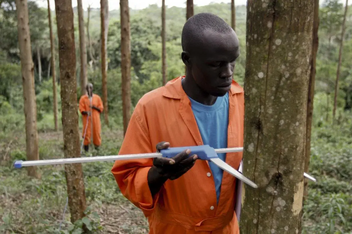 Quarterly Newsletter June 2015