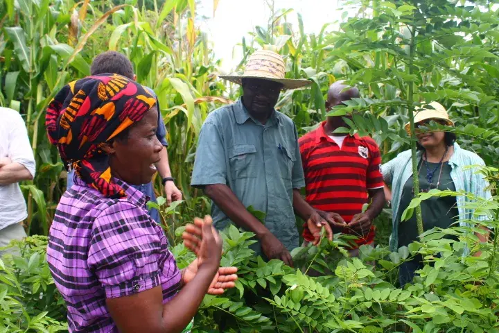 Quarterly Newsletter September 2015