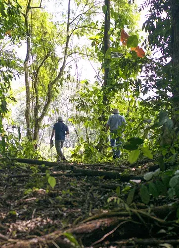 People at the Core of Forest Management