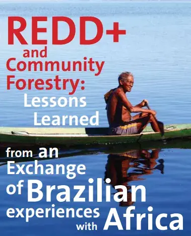 Lessons Learned from Community Forestry & REDD+ in Brazil