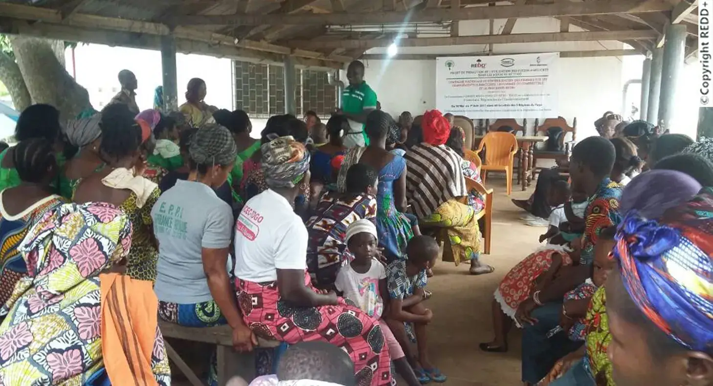 Civil Society in Togo's REDD+ Strategy Preparation