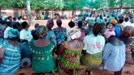  WhatsApp for Togo's Forests