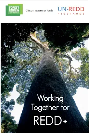 Working Together for REDD+ - Collaboration by UN-REDD, Climate Investment Fund and FCPF