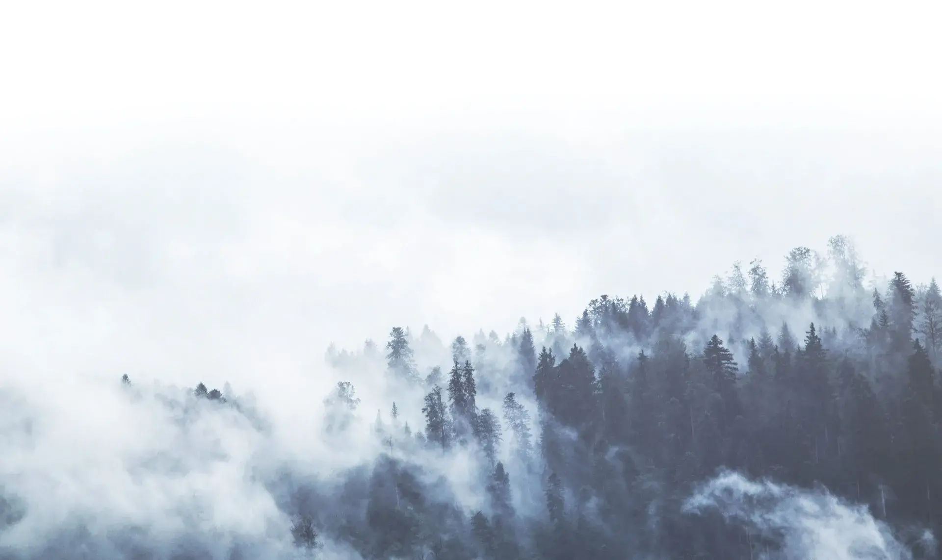 FCPF 2020 Annual Report