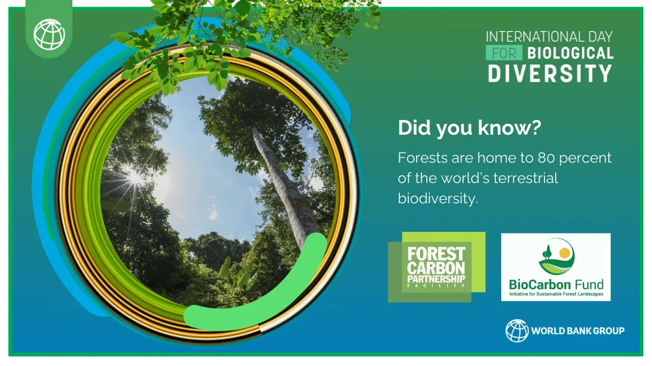 2024 International Day for Biological Diversity 