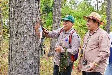 Getting It Right on Forests & Climate Change