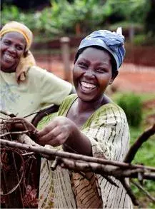 The "Barefoot Solar Sisters"