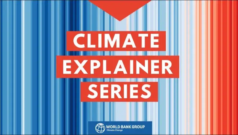What you need to know about the Measurement, Reporting and Verification (MRV) of Carbon Credits