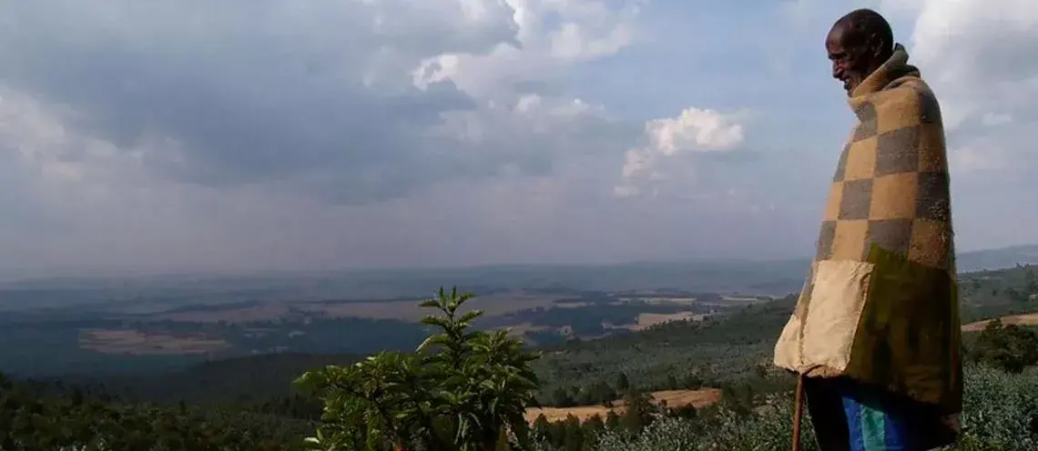  Can carbon finance in agriculture and forest landscapes help to build a more sustainable future in Eastern and Southern Africa?