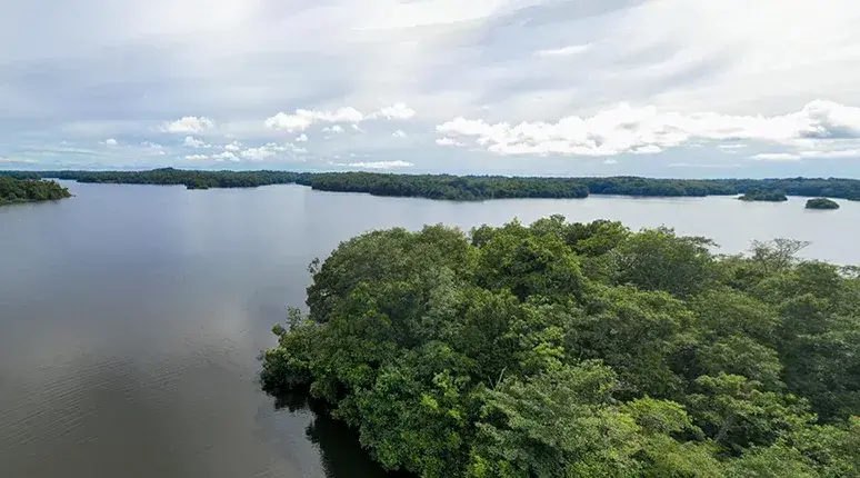 Journey into the Congo Basin – The Lungs of Africa and Beating Heart of the World