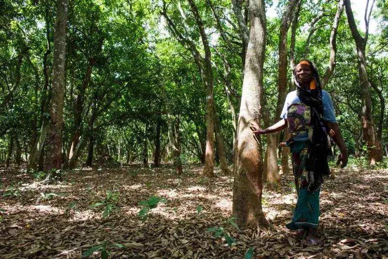 Quarterly Newsletter