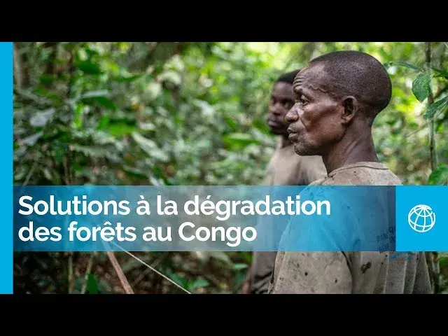 People-Centered Solutions to Forest Degradation in the Democratic Republic of Congo